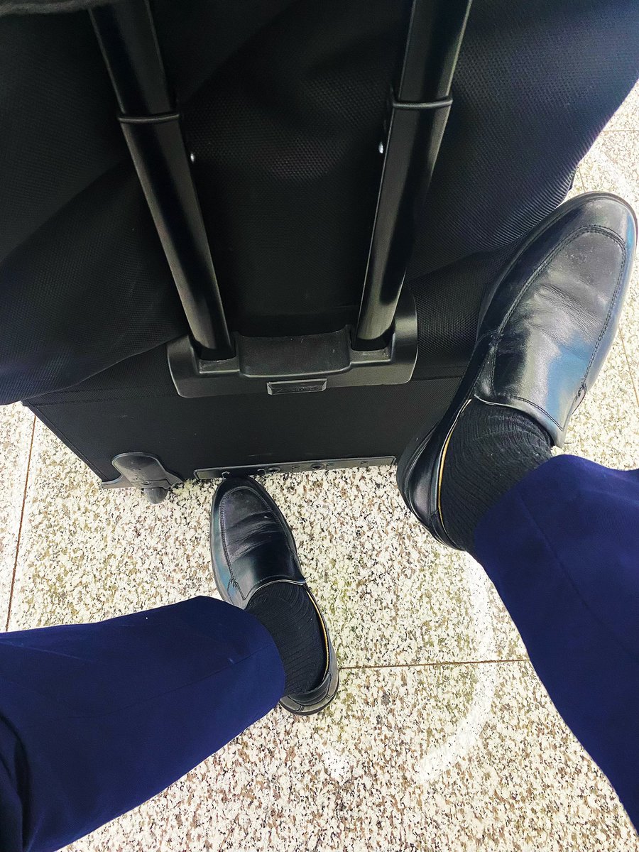 平流层打工人 tweet media