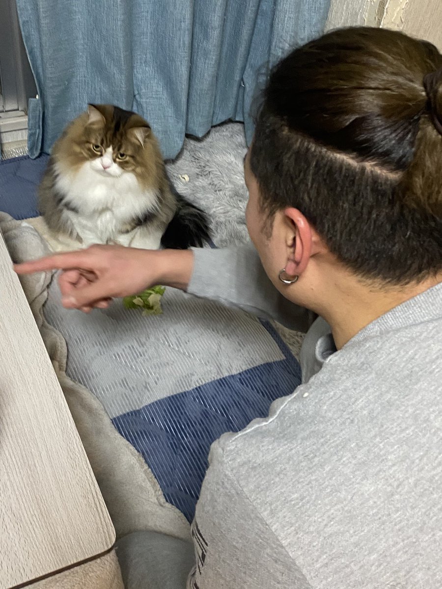 ganmotyan's tweet photo. 面白半分で野菜を机の上から取って
取ったらあかんって言われた息子。
とるんやったらちゃんと食べろって怒られてる息子。
野菜を見つめる息子。
面白半分で取ったから別に食べたくないのに怒られたから食べる息子。 https://t.co/owOCcnZu2D