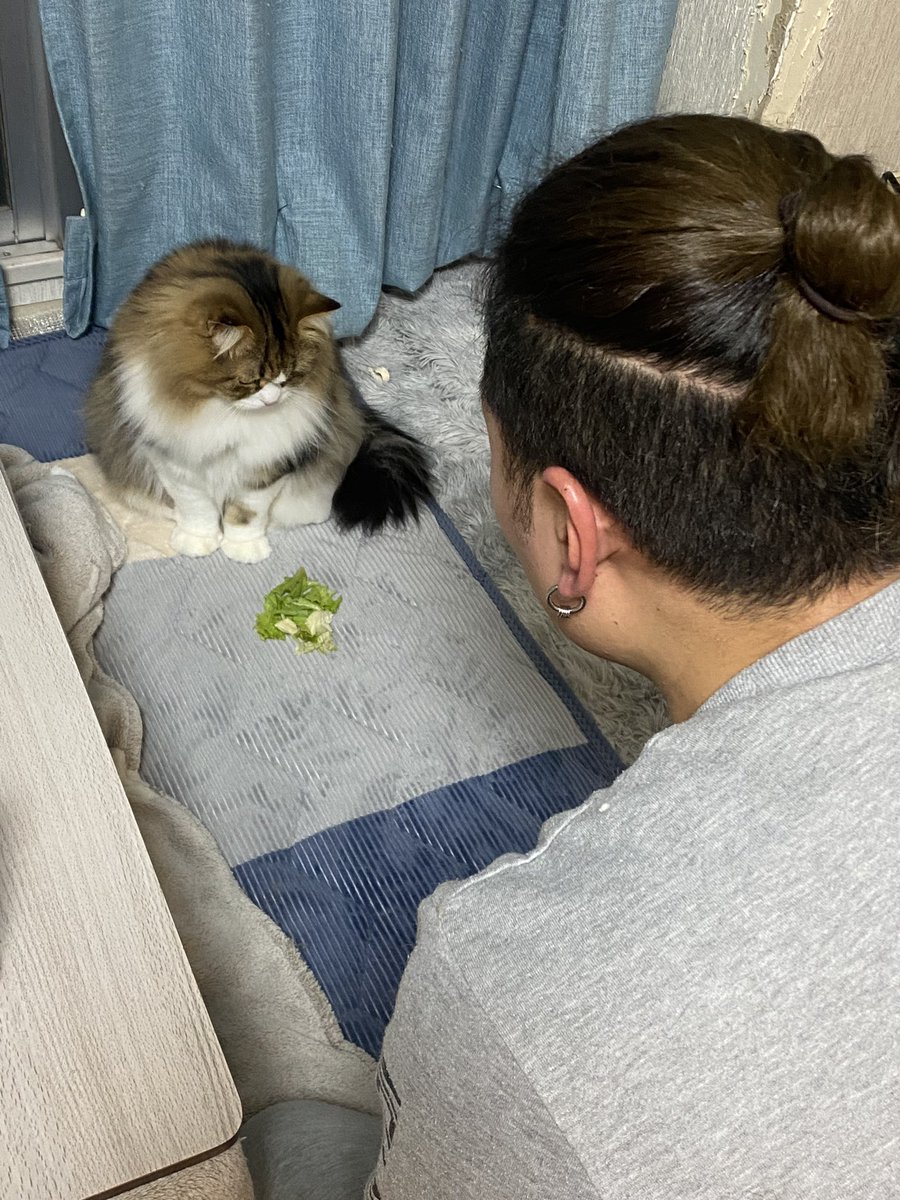 ganmotyan's tweet photo. 面白半分で野菜を机の上から取って
取ったらあかんって言われた息子。
とるんやったらちゃんと食べろって怒られてる息子。
野菜を見つめる息子。
面白半分で取ったから別に食べたくないのに怒られたから食べる息子。 https://t.co/owOCcnZu2D