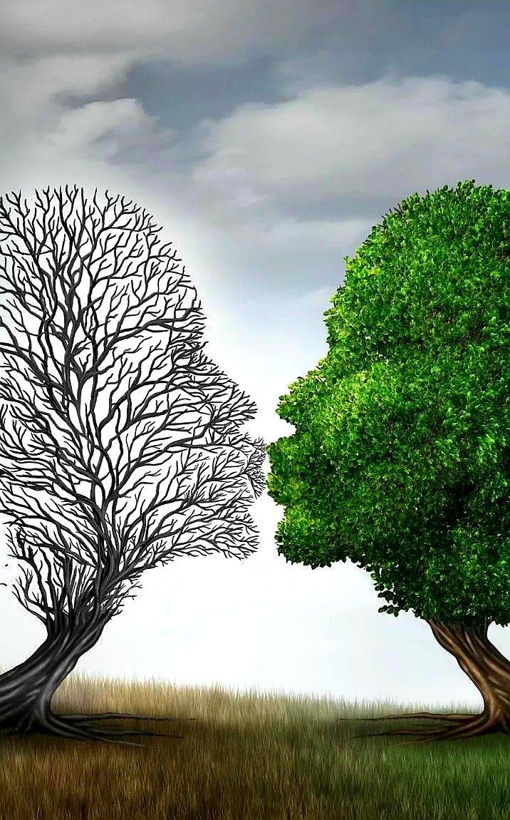 Elena (@elena192827) on Twitter photo 