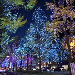 クロスホテル大阪 / CROSS HOTEL OSAKAのツイート画像