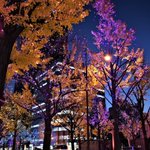 クロスホテル大阪 / CROSS HOTEL OSAKAのツイート画像