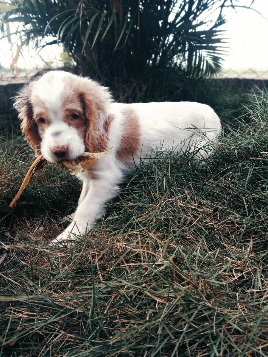 Robeeee:^) tweet media