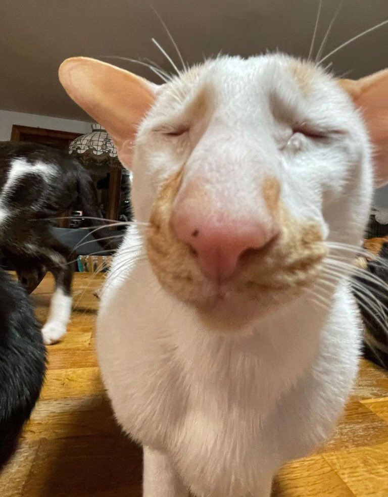 FulseNoom tweet media