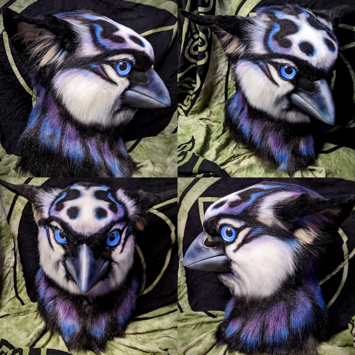 CopperSprite's tweet photo. The models face is a little longer than the customers (and my heads way too small to model). The finch is boxed and ready to ship. Fully airbrushed, moving jaw, and flexible ears, the base and eyes are by the amazing team at @DvC_Ciara / @MonoyashaDvC . https://t.co/z8CB43JRrP