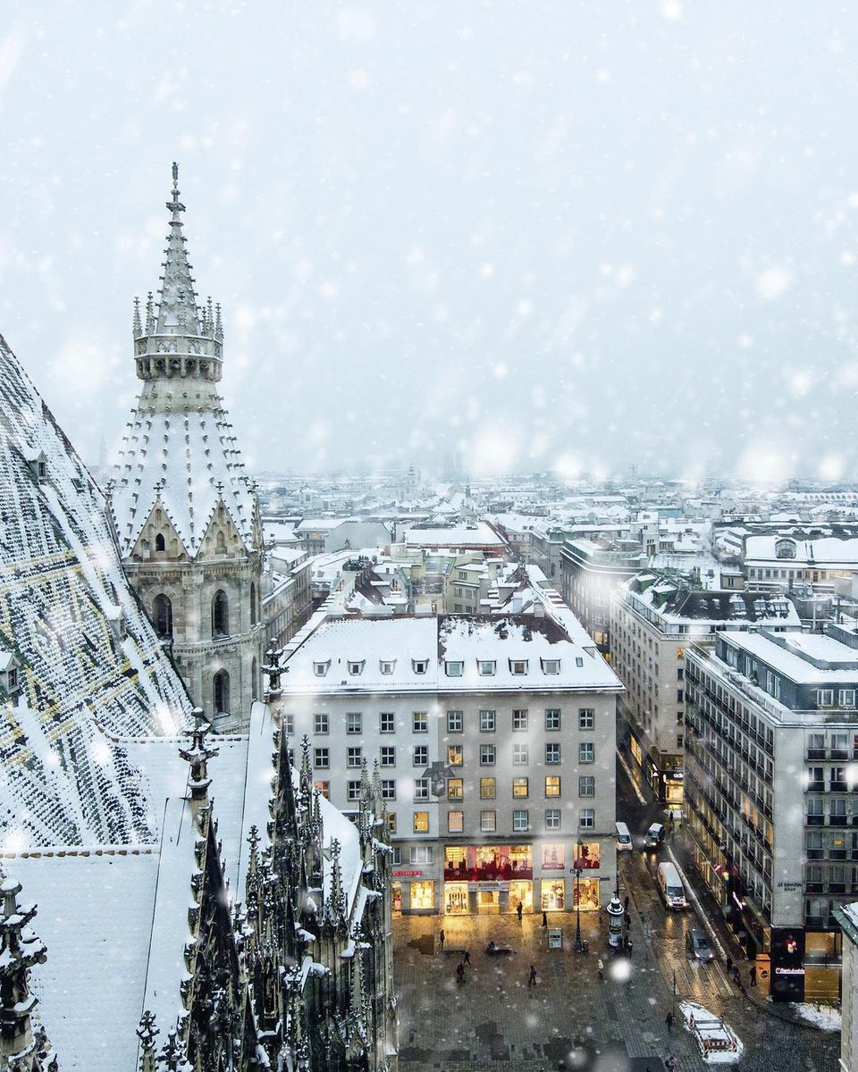 WTravelMagazine's tweet photo. In case you are missing what Vienna looks like in winter - here is a preview!
#vienna #wien #austria #viennagoforit #visitvienna #viennagram #Travel #LuxuryTravel #wanderlust #travelphoto #exp
Reposted from @ViennaInfoB2B https://t.co/lAQ160wUNO