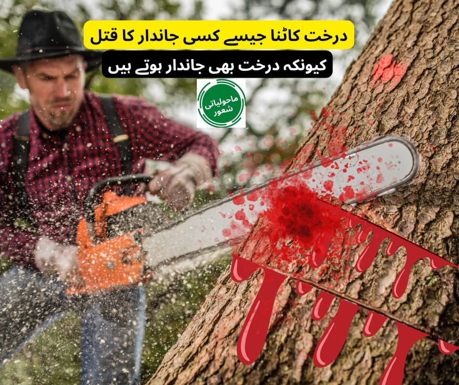 sbabarofficial's tweet photo. Save Trees 
Save Earth https://t.co/N5kqDQXEAc