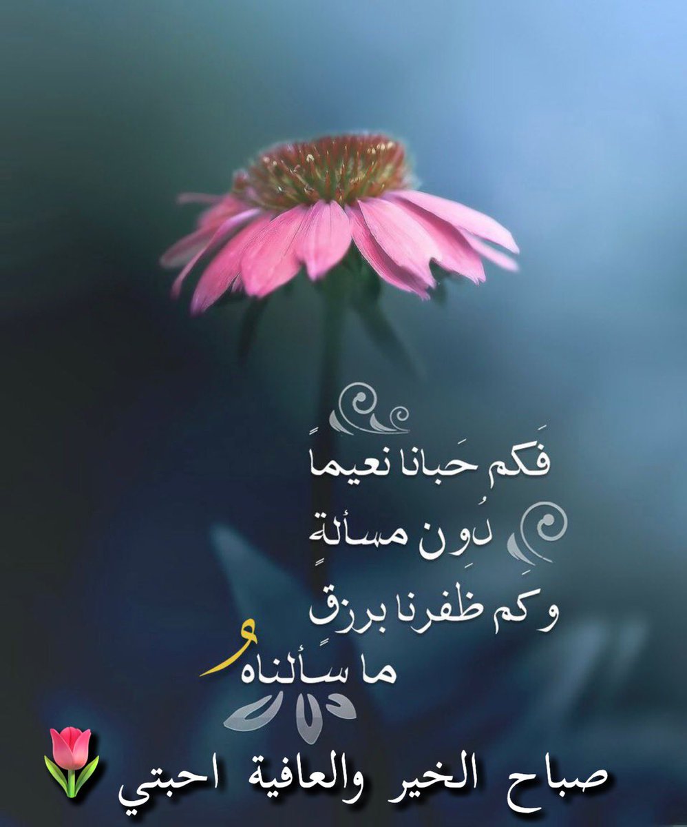 صباح الخير والعافية احبتي🌷