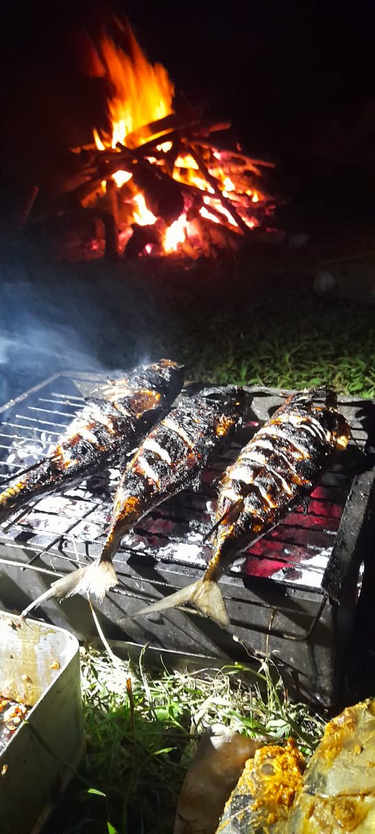 malasbergerak's tweet photo. Iki fotone pas hamis daud lagi bakar iwak terus raisa lagi golek kayu go gawe api unggun. https://t.co/p0QG37n0He