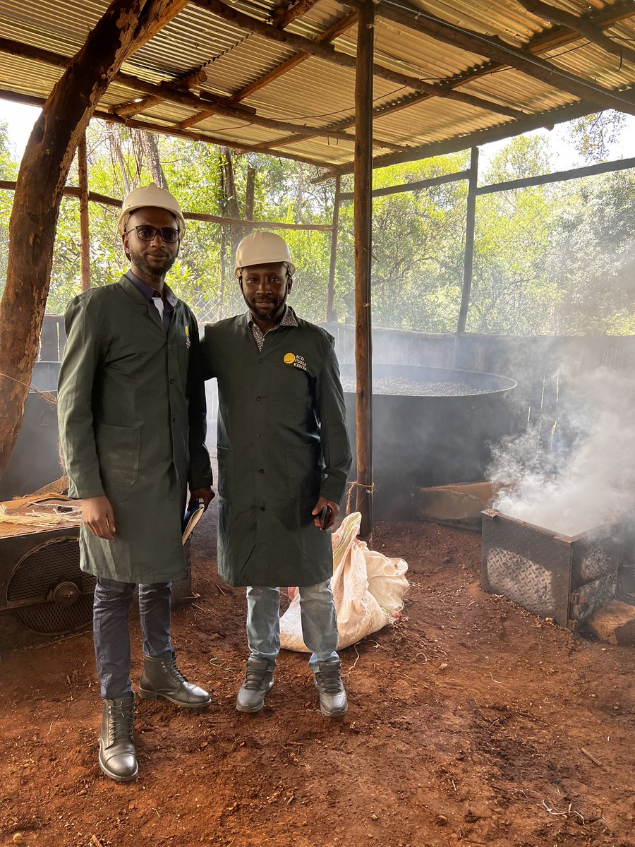 chickpeaman's tweet photo. Our @innovateuk partner #EcoFixKenya extract oil from Croton megalocarpus seeds. Byproducts include a biostimulant, fuel, insect repellent, fertiliser & animal feed. Seeds harvested by smallholders from wild trees. #nowaste #sustainable @KewScience @NRInstitute @UKRI_News #AAKTP https://t.co/anLIyTvd0w