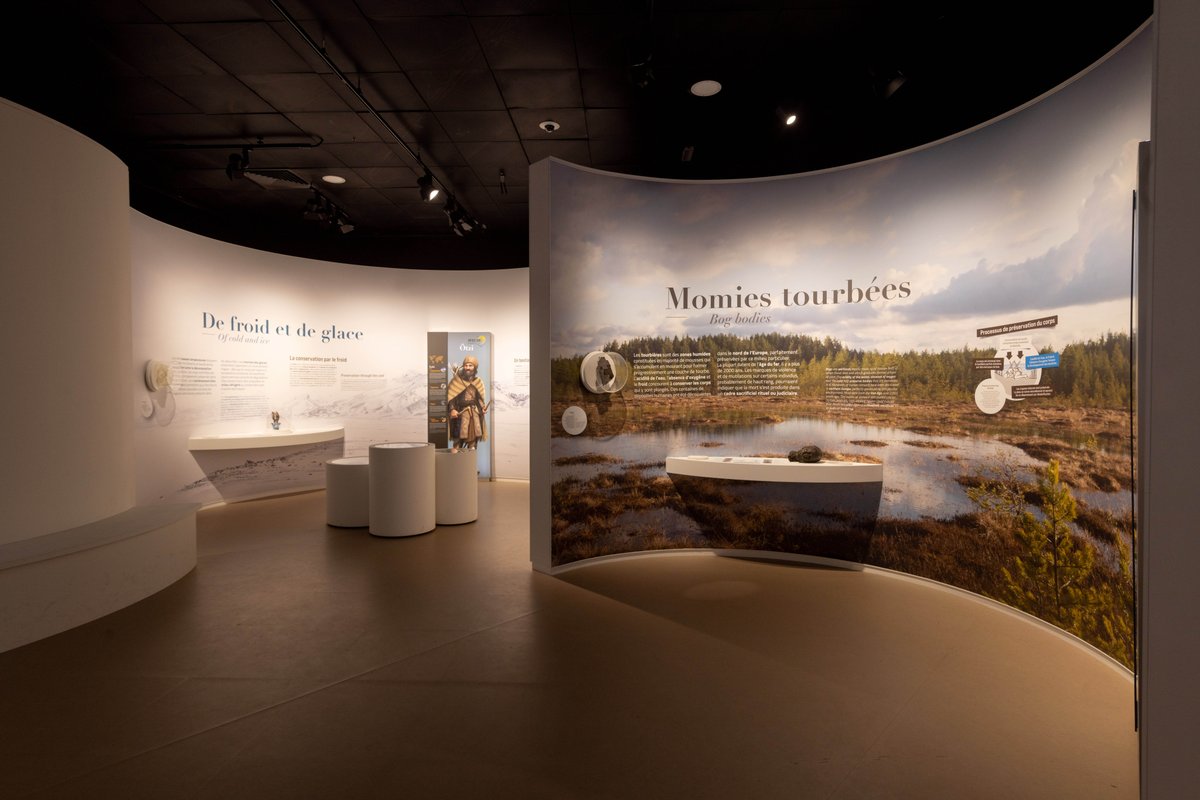Inrap's tweet photo. [🔎#Entretien] Le @museumtoulouse présente "Momies, corps préservés, corps éternels", une expo labellisée #20ansInrap. Commissaire scientifique, Patrice George @ArcheoFo revient sur cette pratique qui a concerné tous les continents et toutes les périodes 👉https://t.co/CBi3iTgqkO https://t.co/v7MkYnZ5jk