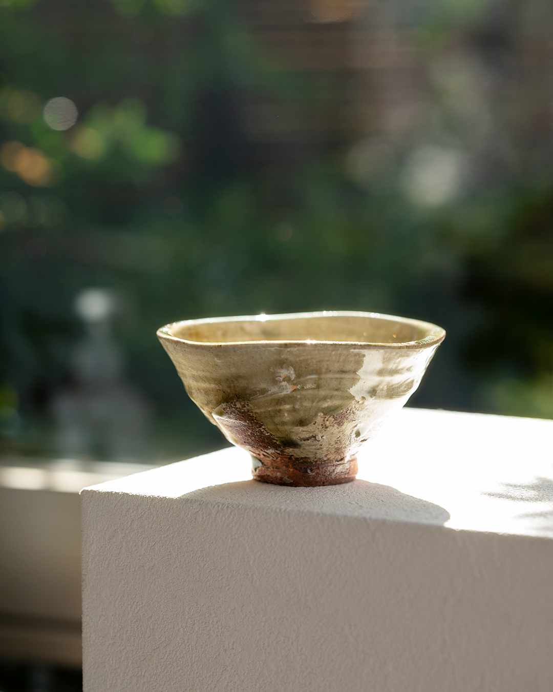 星野亨斉 信楽焼 多用皿 匿名配送