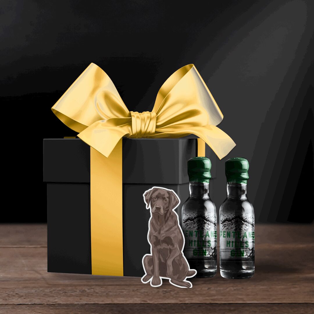 Our Gin Miniatures are the perfect stocking filler for the festive period, a small way to make everyone's Christmas just that little bit better! bit.ly/3Uh6TvV

#pentlandhills #pentlandhillsgin #gin #cocktails #drinks #gintonic #ginandtonic #ginlovers #christmasshopping