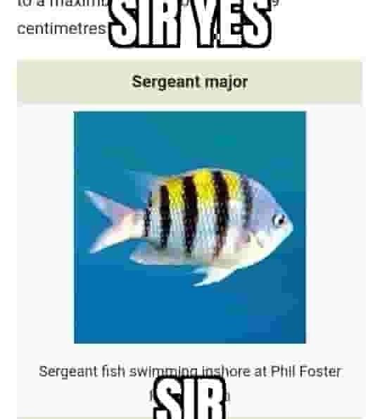 TW Pornstars - Hannah Jo. Twitter. 9:35 AM - 17 Dec 2022