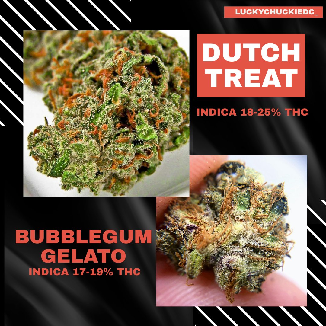 The Indica Cannabis strain is perfect for those who want to relax and unwind. This strain is known for its couch-locking effects, making it perfect for a night in. To know more about this two amazing strains, link in our bio!! 👽👽
#indicastrain
#dutchtreatstrain
#bubblegumgelato