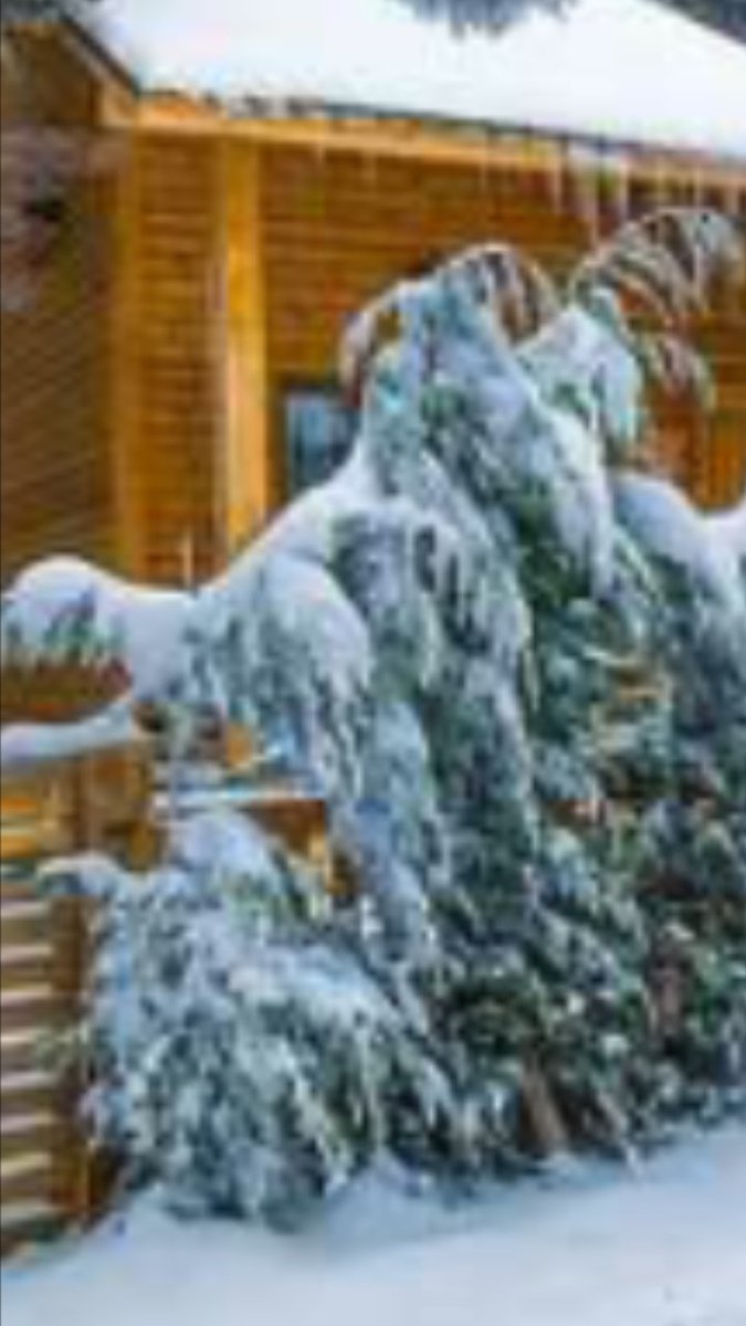 uludag soguk afyon nasil bu gun