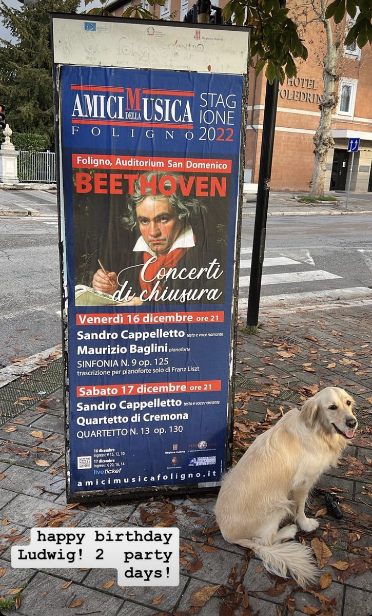 happy birthday beethoven! 2 party days !