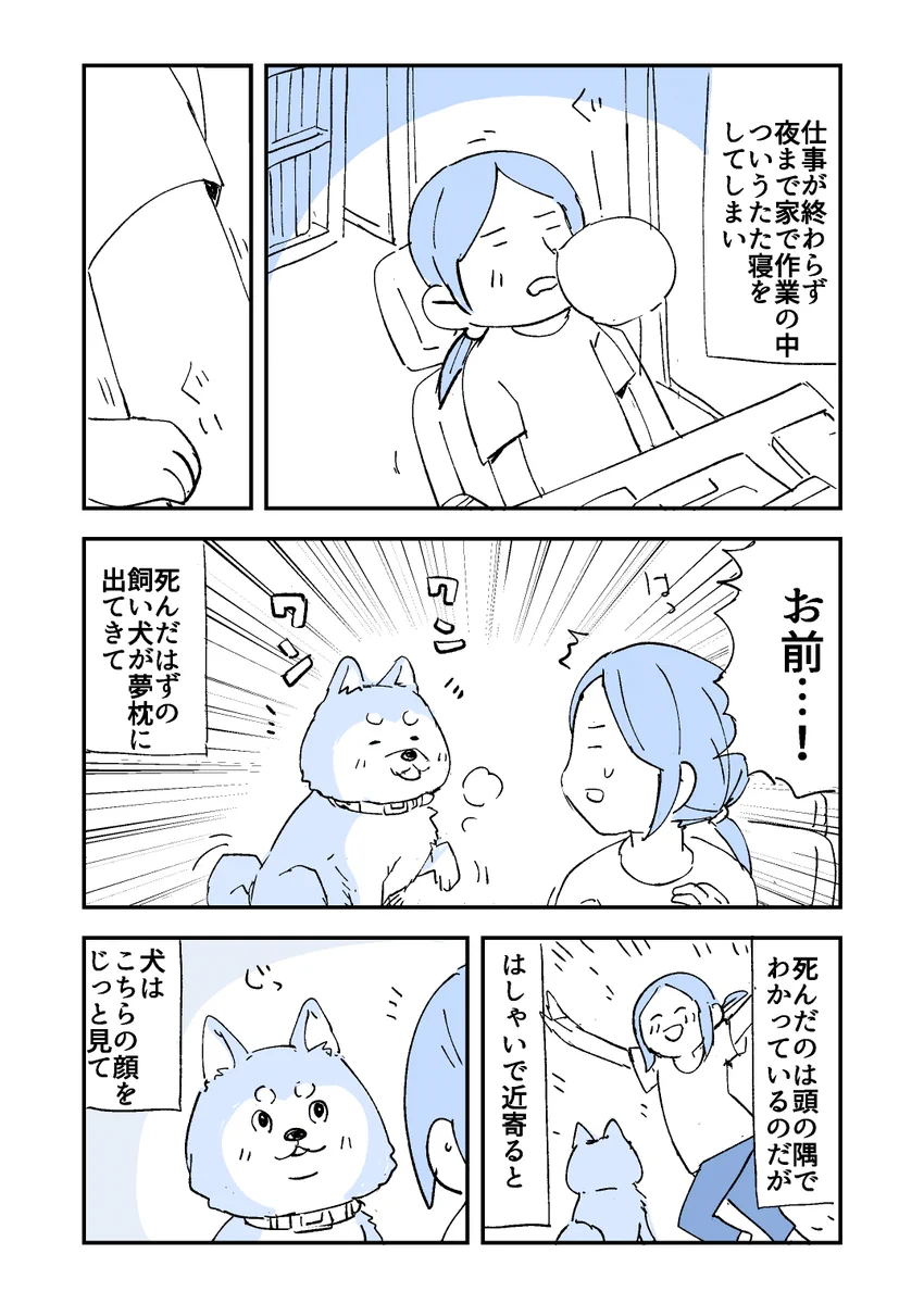 死んだはずの愛犬が夢の中に現れて･･･！ある不思議なエピソード