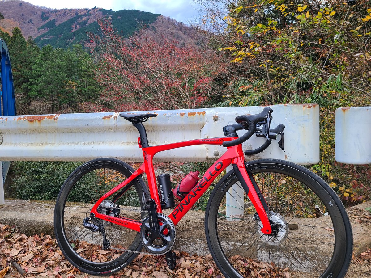 junghyper's tweet photo. 固ツイ用
歴代乗ってきたピナレロをまとめ
1台目(ロード2台目) RAZHA
2台目(ロード4台目) DOGMA F10
3台目(ロード7台目) PRINCE FX
4台目(ロード9台目) DOGMA F https://t.co/BihsKNZyNE