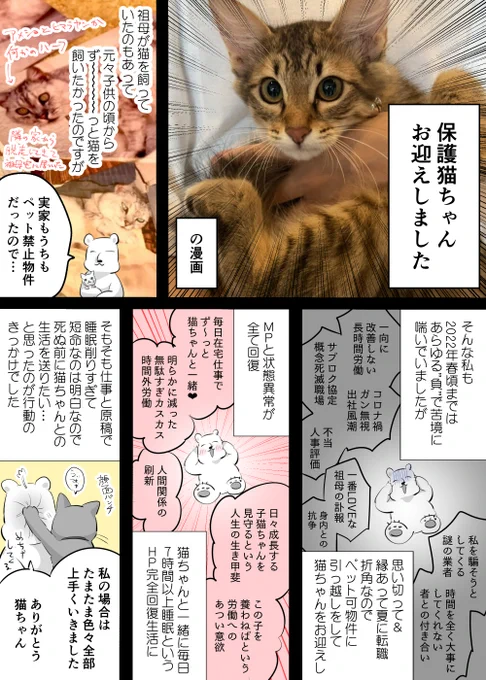 【日記】保護猫ちゃんをお迎えして元気になった人間の漫画 