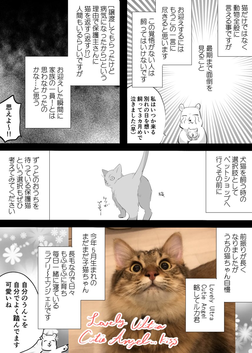 【日記】保護猫ちゃんをお迎えして元気になった人間の漫画 