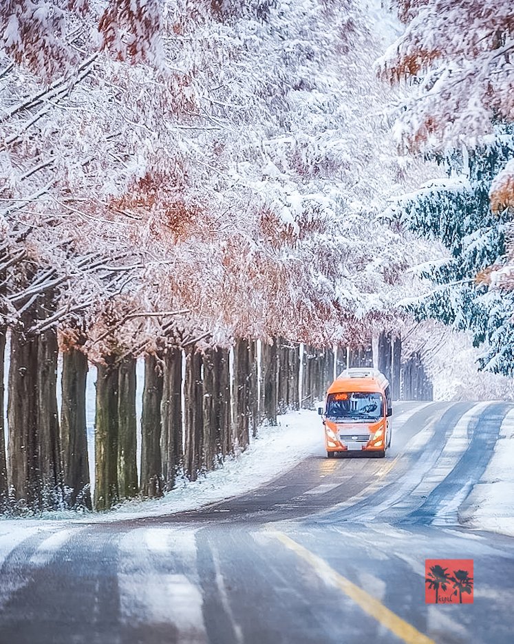 kopcc91's tweet photo. 🛣❄🌲🧊🚌🚍 https://t.co/8Cchf3vG6N