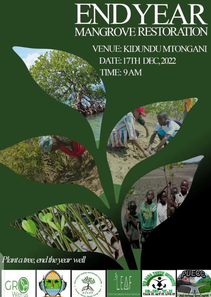 Here we go! It's finally here, let's make it big once again #MangroveRestoration