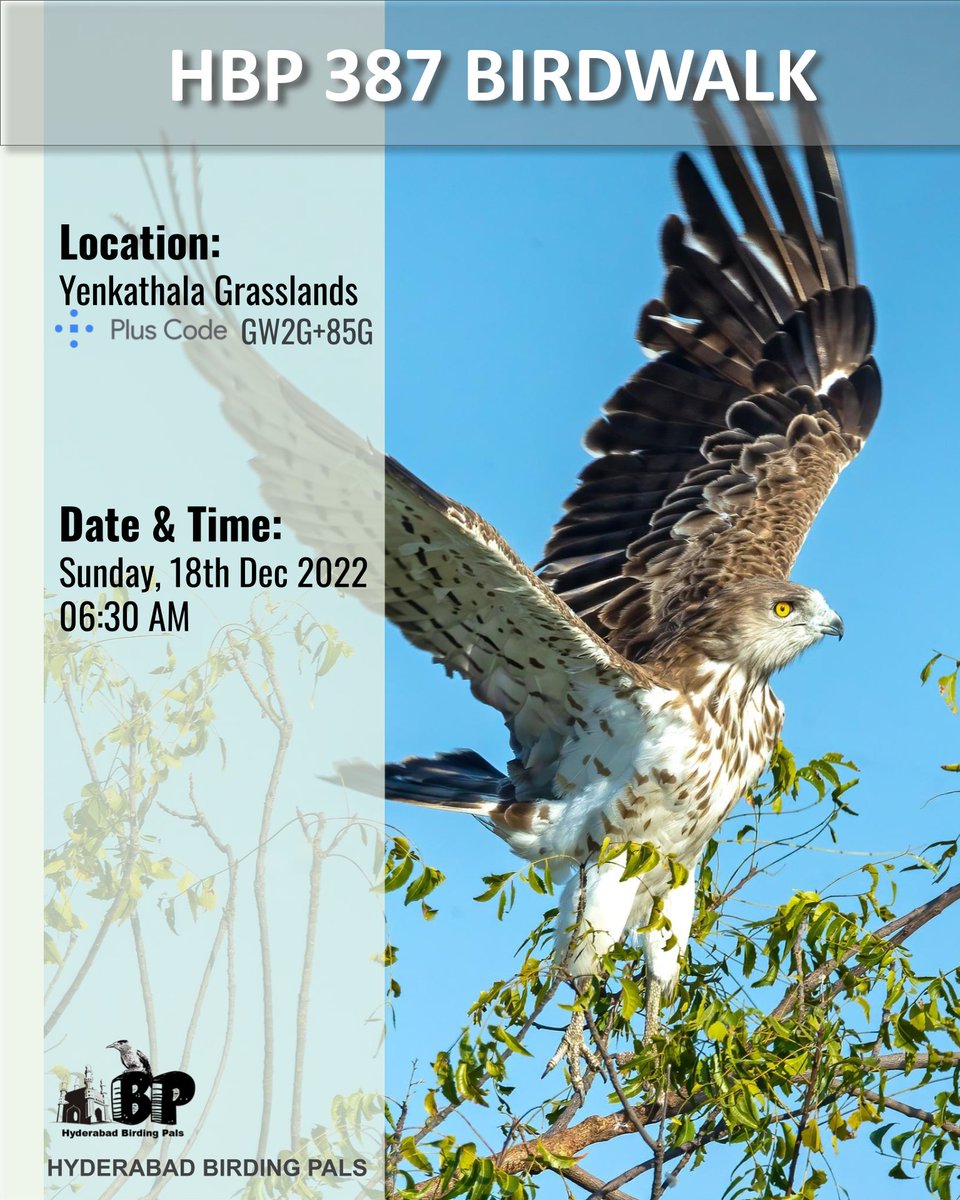 hydbirdingpals's tweet photo. #HBP387 Birdwalk at #Yenkathala on 18 Dec 2022 6:30AM
#yenkathalabirdwalk
#telanganabirdinghotspots
#HBPBirdwalk
#sundaybirdwalks
#birding
#birdinghobby
#hyderabadbirdingpals
#birdwalks
#groupphoto
#birdphotography
#birdphotographers
#birdwatchers
#birdwatchinghobby
#birdwatching https://t.co/Wimm1d95pn
