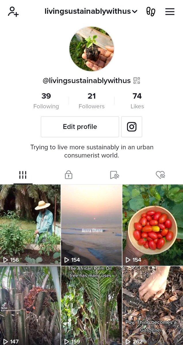 EvolvingVintage's tweet image. How we are practising from farm to table.
It starts with you, there's nothing like eating your own fresh chemical free produce🥬🥦🌱🍀

My creative juices are flowing on Tiktok/Instagram and it's nice to see a visual blog of our work.
Pls go follow if you don't want to miss out😌