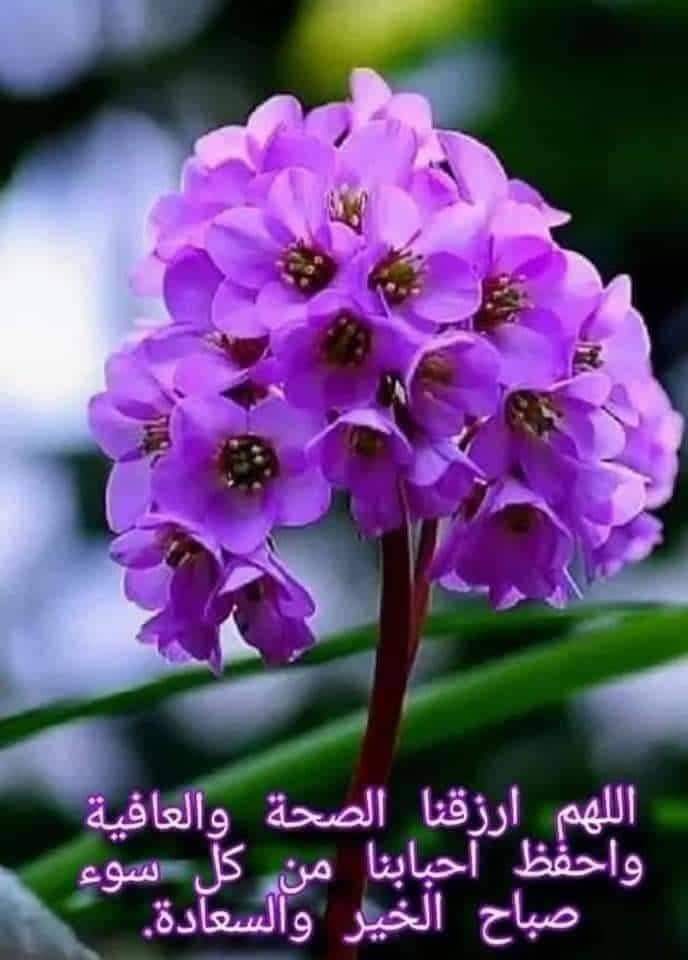 Abdul (@aaliameramer1) on Twitter photo 