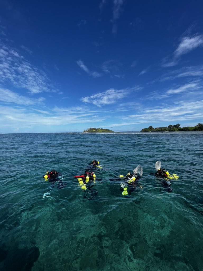 scuba_franny's tweet photo. Well that’s a wrap ✔️ Another expedition with @calacademy scientific diving team complete! Pretty awesome to see and help out with mesophotic fish collections, gain more hours on my #prism2 #rebreather , and experience a part of the world I’ve never been to before! 🌍 https://t.co/p3HunEIdjm
