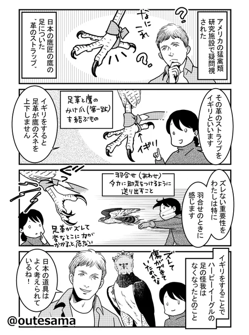 先日数年ぶりにお会いした吉田流Mさんとイギリの話をしたので、未発表で描いたことがあるな～と過去漫画。アメリカの施設にて、ハーピーイーグルが足革で怪我をすることでの対策を探していたら、日本のイギリを見つけて…という流れでした。 