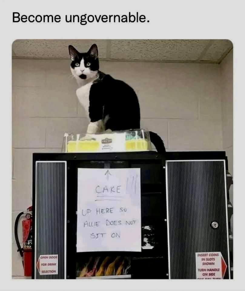 FkKOFHOUEAAkSvv