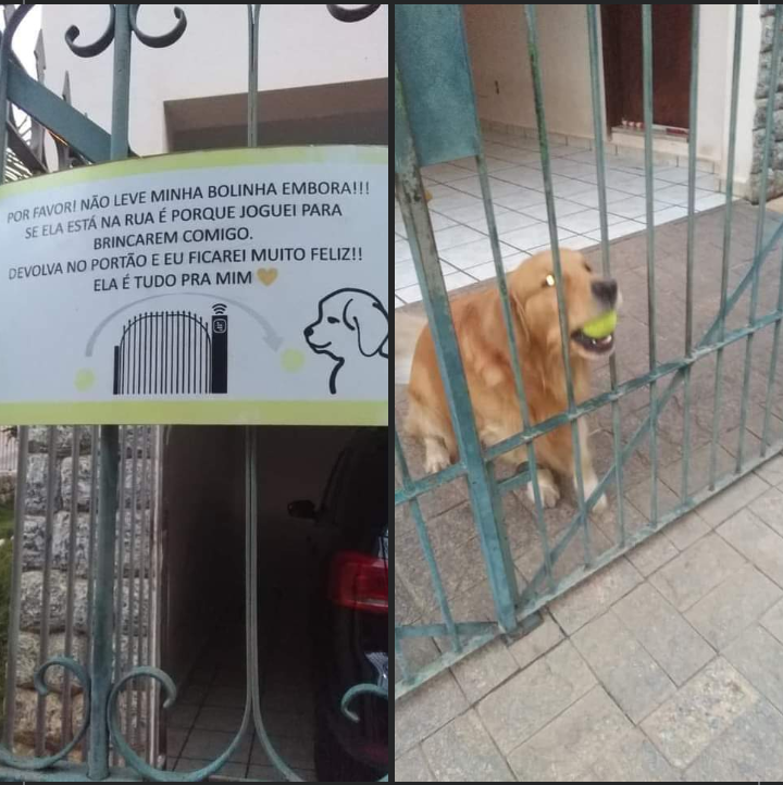 WholesomeMeme's tweet photo. The sign contains the following message in Portuguese; "Please don't take my (little) ball away. If it's on the street, it's because I threw it for people to play with me. Return it through the gate to make me happy. This ball means everything to me.". https://t.co/vTWcq8zTW5