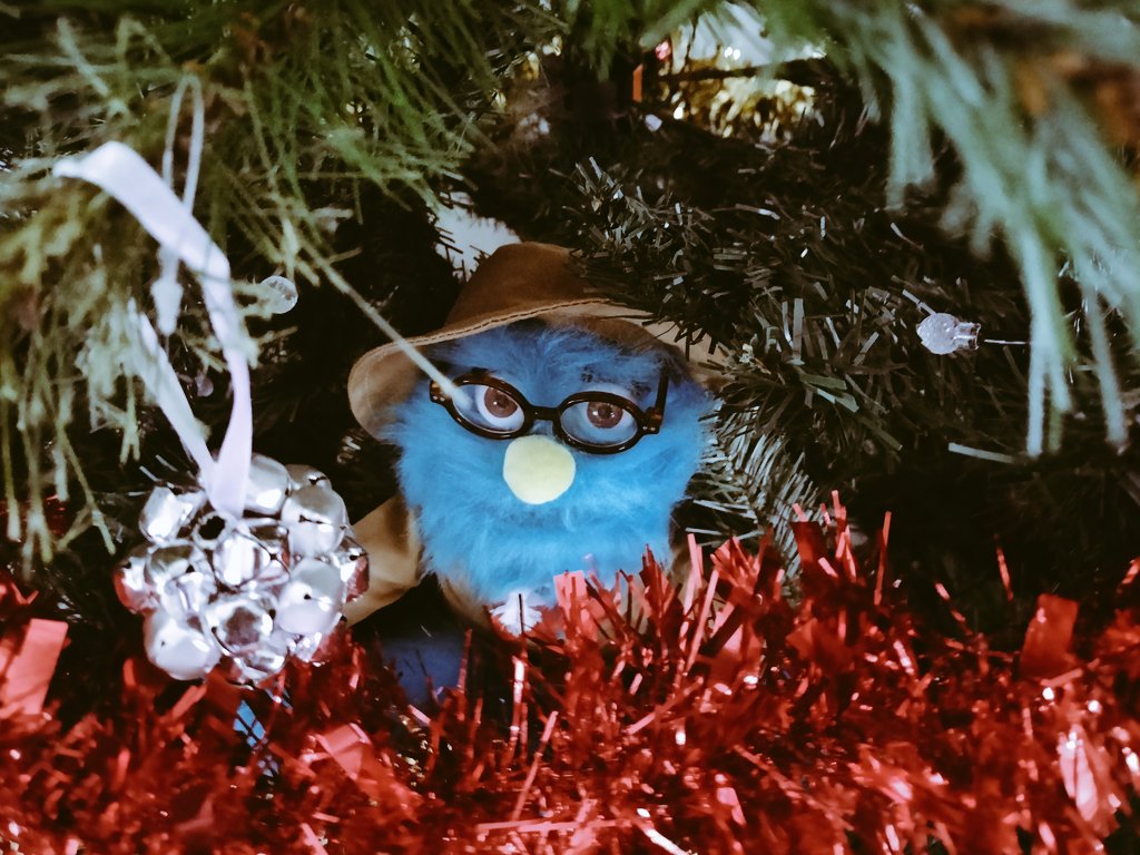 GavinDDay's tweet photo. I wonder how long until someone notices The Professor in the family Christmas tree @ryansbergara @shanemadej @stevenkwlim @wearewatcher #theprofessor #professormcnasty #puppethistory #riptheprofessor https://t.co/aVcryss0dt