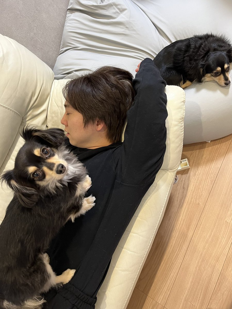 ashiura310's tweet photo. サトシの件を聞いて夫が体調を崩しました。 https://t.co/dehJiOH3vs
