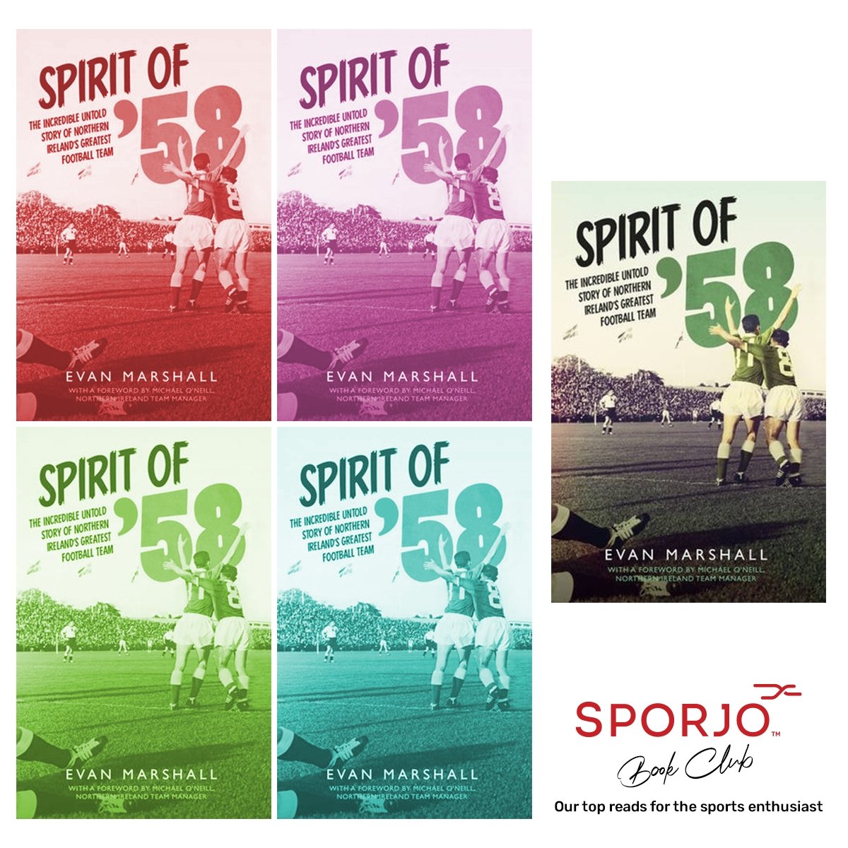 If you are looking for a source of inspiration then ‘Spirit of 58’ is your go to book.

A gripping rollercoaster of a story that tells the tale of the Northern Ireland football team, under Peter Doherty, and the team's journey from underdogs to being two games away