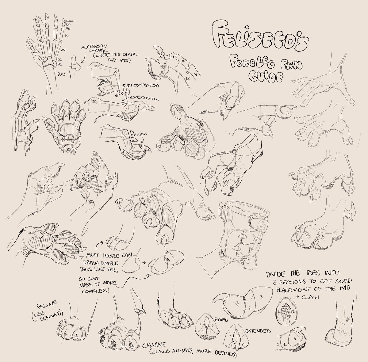 felis_seed's tweet photo. A sequel to my forelimb paw tutorial (though this one’s just more of a guide) 

#furry #furryart #tutorial #furryartwork #furryfandom #furrytutorial #furryart https://t.co/6bs4CPrbGw