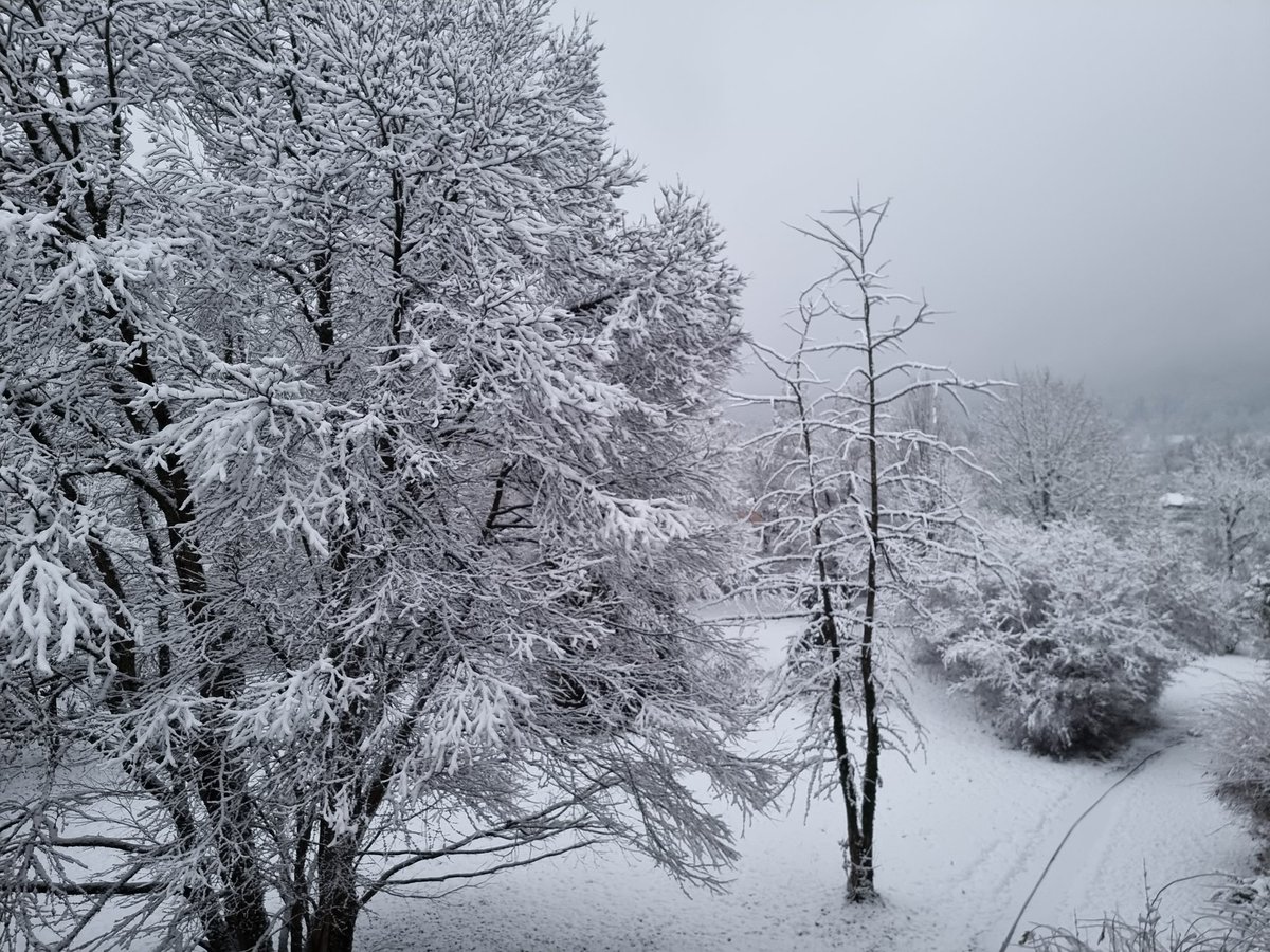 Heute wieder Schnee ;0)