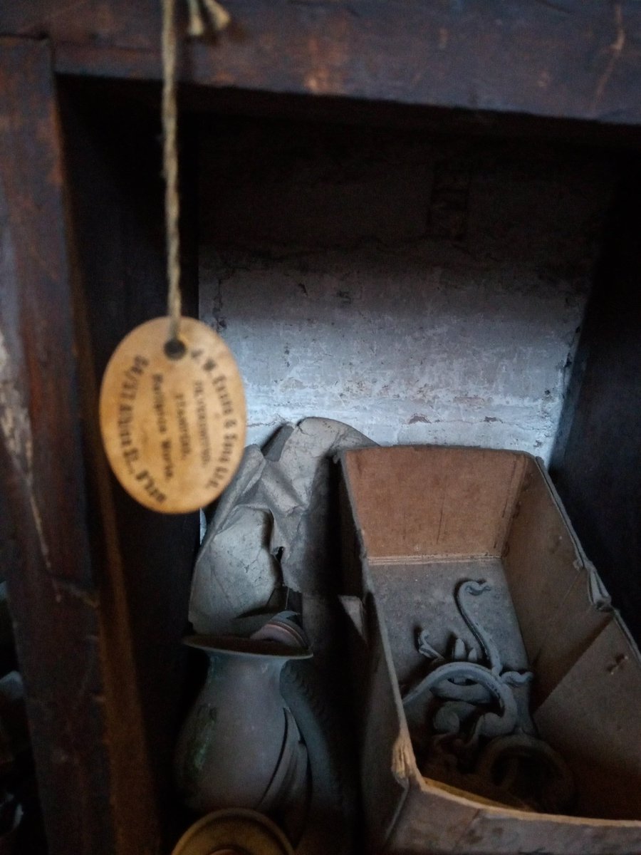 Tarlie Bear tweet media