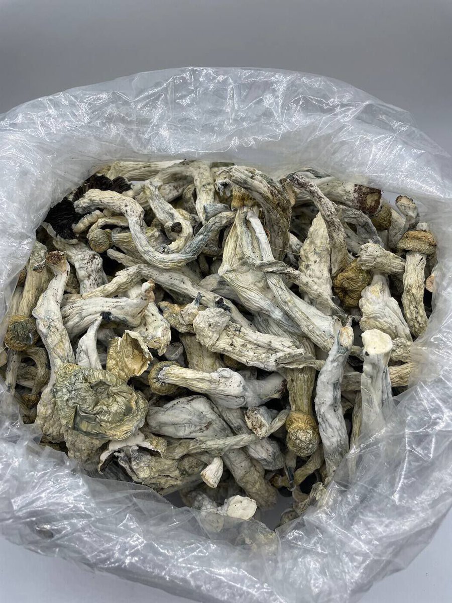 Who’s awake? 
What’s your fav shroom strain ?