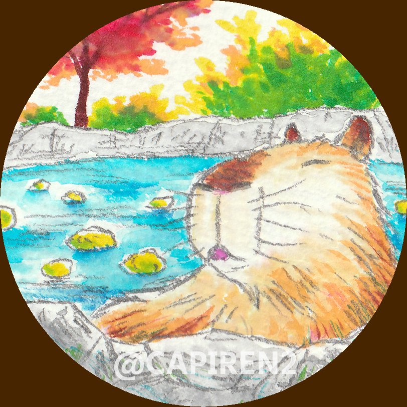 #Capybara #カピバラ #水豚 #水彩 #動物イラスト 
温泉カピ！！