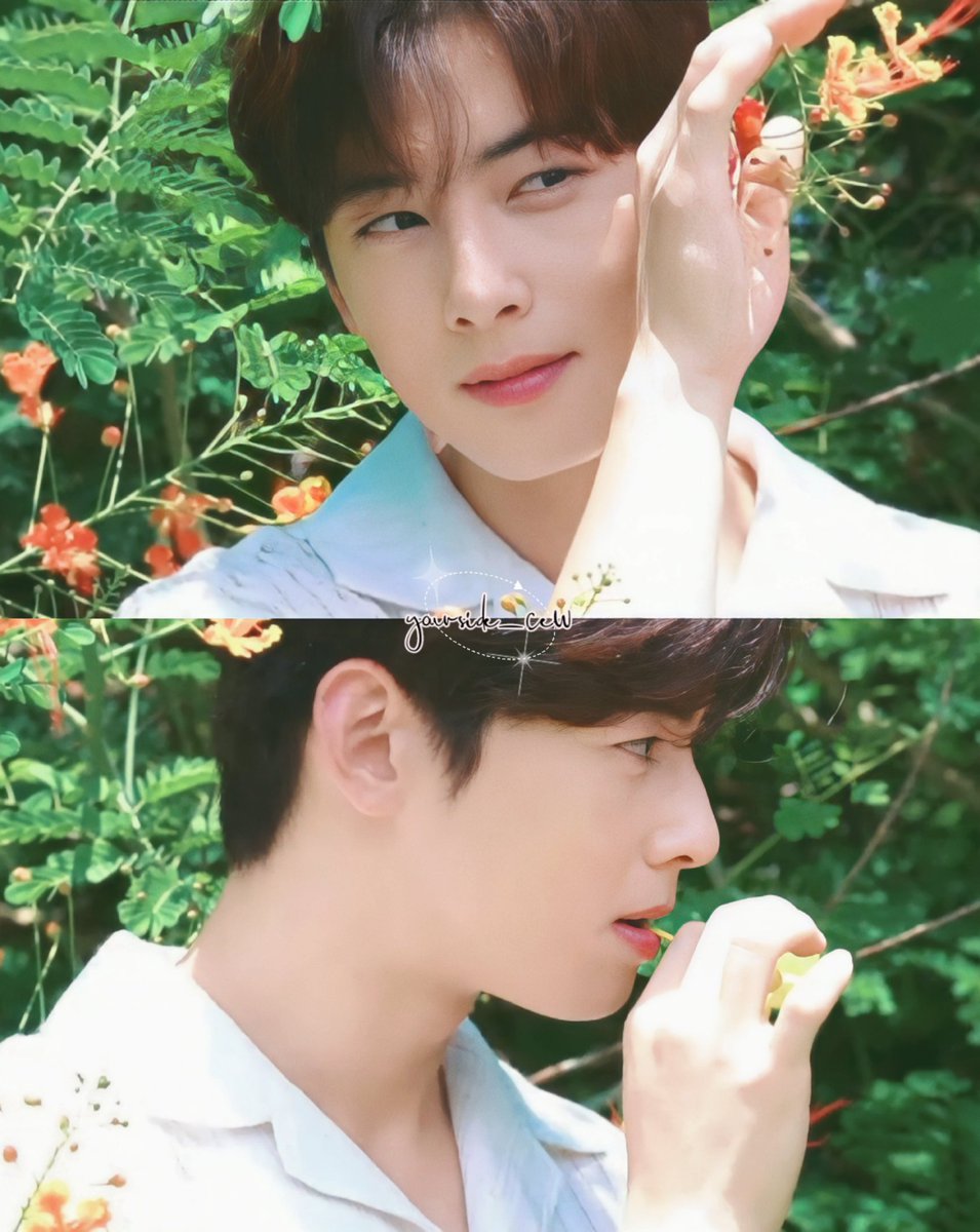 세상에서 쩨-일루 예뻐🧡

- 1년 365일 매분 매초 매일매일 숨쉬는 이 순간에도 은우는 한시도 쉬지않고 예쁨 😐❣️#차은우 #이동민