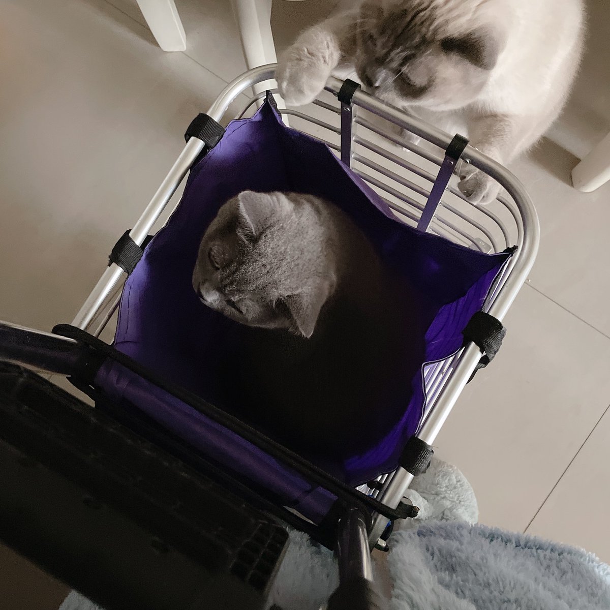 你好像对你爸有点意见 https://t.co/3pZ6kCcy1H