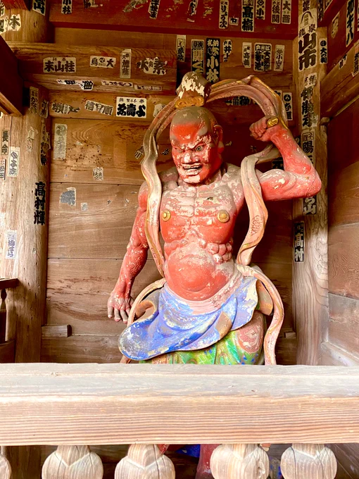 杉本寺。鎌倉最古のお寺だそう。杉本(杉元)姓の発祥の地らしいです。古の佇まいと紅葉で美しかった 