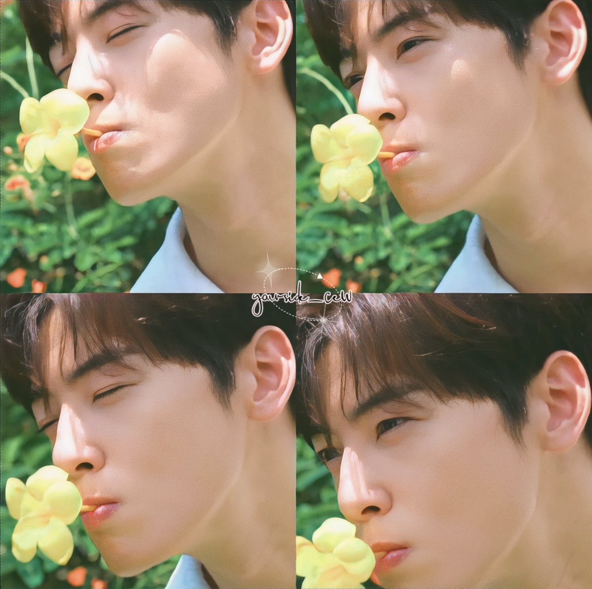 간질간질

- 지금 봄인가💛
#차은우 #이동민