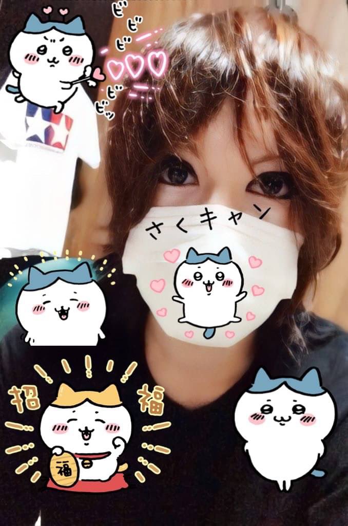 さく🐈ハチワレ推し✨ (@sakurai3t) / Posts / X