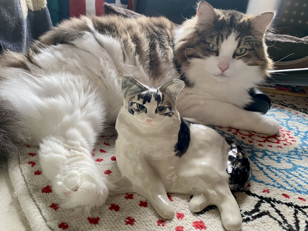 小林真文(mafinu) Twilog (ツイログ)