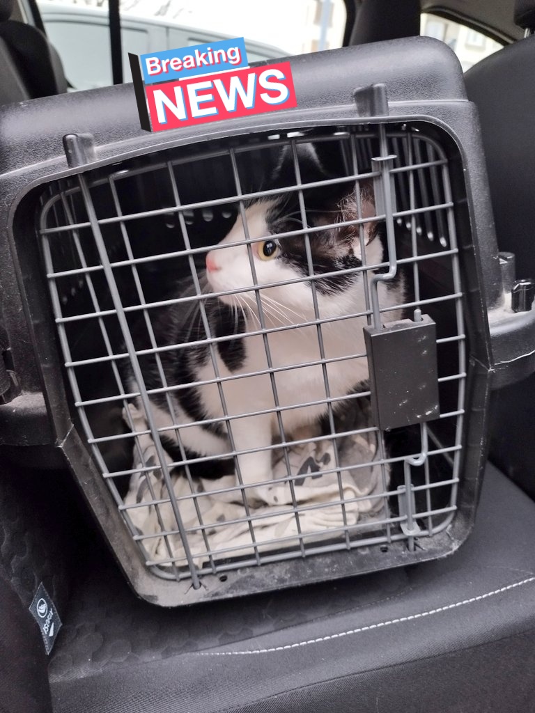 tiny_cat1's tweet image. Nan pas la blouse !!!!!