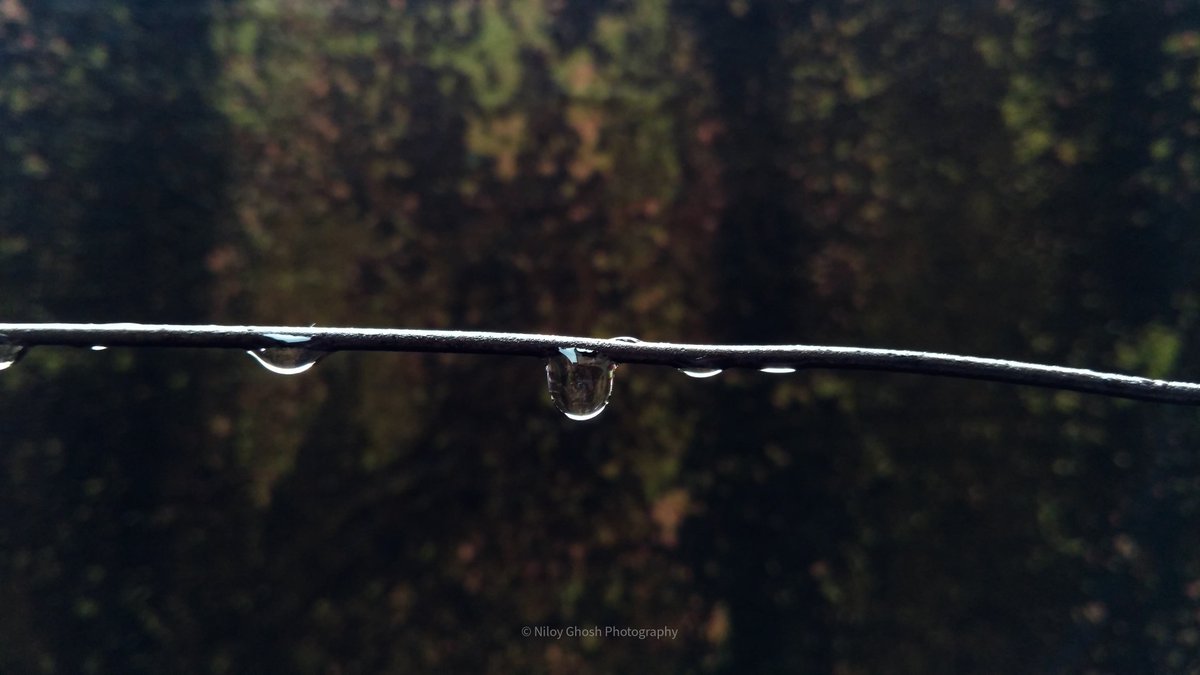 NiloyGhoshPhoto's tweet photo. Droplet!
~
#NiloyGhoshPhotography
~
#droplet #macro #drops #droplets #water #nature #drop #macrophotography #photography #waterdrop #waterdroplets #perfection #waterdrops #naturephotography #rain #photooftheday #waterdropmoment #waterdropmacro https://t.co/dhAzEJGHJJ